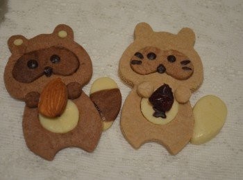 step15: 這個淺色的浣熊餅乾我只加入了5g 的巧克力粉，所以做出來的麵皮會比較淺色。棕熊的顏色可以隨自己喜歡配搭。