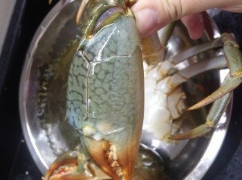 step5: 用牙刷將蟹清潔，刷乾淨;
<a href="https://bit.ly/2YzwBVG" target="_blank" data-keyword="蟹鉗" class="guide-link"><strong>蟹鉗</strong></a> <span style="display:inline-block;vertical-align:middle;margin-top:-3px;color:initial;border-radius:3px;padding:2px 3px;font-size:12px;line-height:14px;background:#87d300;color:#fff;">即買</span> 用毛巾包住，用刀背大力切1-2下，等佢容易索汁，食時又方便D~