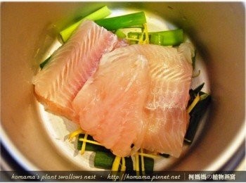 step4: 把比利魚片分切成塊狀後，直接放在蔥段與薑絲上。使魚身與鍋底間留有空間，以便讓蒸氣均勻流通，使魚肉能快速均勻熟透。