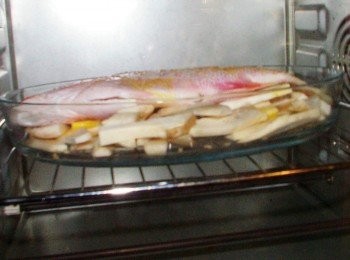 step4: 送入已經預熱好的烤箱ˊ200度c烤20分鐘左右即可