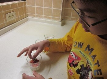 step4: 將3.倒入模型中放入冰箱至凝固,食用前用草莓切片做裝飾或先倒入一半的布丁液待凝固自冰箱取出放上草莓片再倒布丁液至8分滿,再次放冰箱至凝固