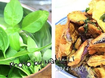 step4: 將適量的九層塔洗淨，待最後一輪茄子炸好起鍋前丟入
九層塔只要稍微炸一下出味即可跟著茄子一起撈起來瀝乾油擺盤。