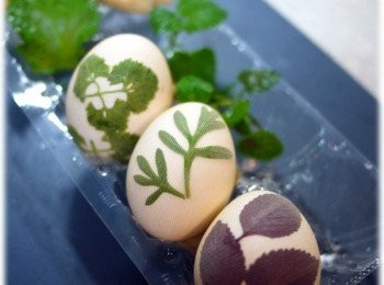 step3: 可多選用不同造型的葉子來做出不同的圖案更有趣