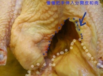 step1: 全雞回來後先洗淨，切去雞尾和連著雞尾的肥膏
之後在雞尾位先用手輕輕將雞皮和肉撕開，再慢慢將手伸入去，分開雞皮和雞肉
*因為這次沒有拍照，用了以前的步驟圖看雞皮分離，皮肉分離會令雞肉烤起來更乾爽
逐匙白松露醬抹上雞皮與雞肉中間，盡量抹勻成隻雞
之後將鹽、糖、洋蔥粉和紅椒粉抹勻雞身外內
抹好的全雞放入袋，之後倒入白酒，盡量壓走袋內空氣，打結放進雪櫃醃上一晚