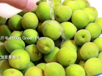 step1: 把鹽水加至青梅中, 翻動及揉搓, 去除苦澀味。 細鹽混水揉搓, 浸泡後的梅子不會有小黑點。 把鹽水加至青梅中, 翻動及揉搓, 去除苦澀味。靜放一小時。