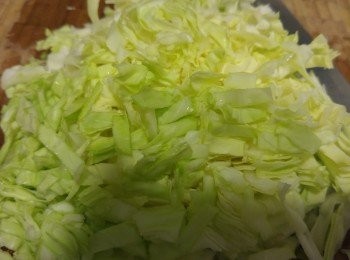 step2: 椰菜切絲再切段,