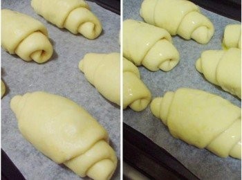 step4: 烤盤放上烘焙或萬用紙ˊ將麵包卷擺上ˊ放溫暖處進行最後發酵ˊ 約35~40分鐘ˊ然後輕刷上全蛋液