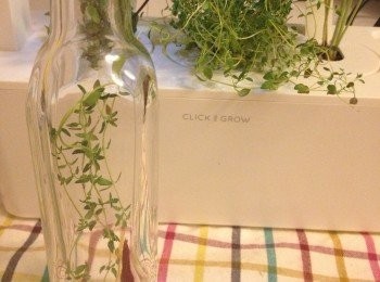 step1: 把百里香放進已消毒的玻璃瓶內。
如喜歡辣，隨喜好辣的程度，加入乾紅辣椒，就是辣椒百里香香草油。