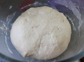 step2: 打好的麵團做第一次發酵 1小時