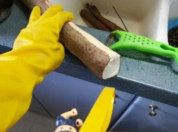 step1: 戴上手套將鮮淮山去皮切片(因為淮山的皮接觸到皮膚會令皮膚痕癢)