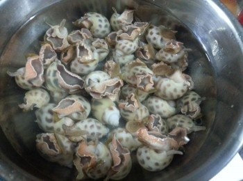 step1: 花螺用鹽水略浸片刻洗淨.