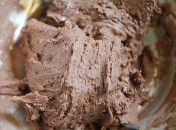 step4: 拌勻至所有材料成糰