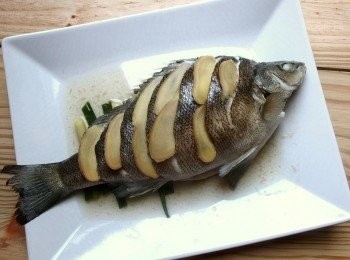 step6: 我使用蒸爐90度C開始蒸15分鐘。如使用蒸鍋,水滾後將魚放入蒸鍋大火蒸12-15分鐘(視魚的大小而定),使用大同電鍋則外鍋放一杯水,蒸到跳起即可。魚蒸好後要將盤裡的湯汁都倒掉不用,薑片取出不要,這樣蒸出的魚才會鮮甜無腥味。