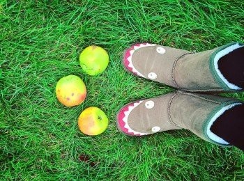 step1: 建議使用青蘋果