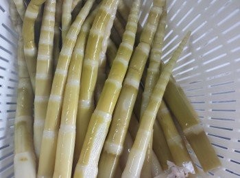 step1: 筍尖切去尾部較老及硬的部份。