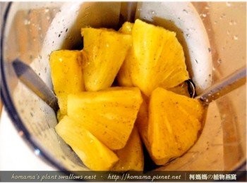 step3: 緊接著將黑木耳養生露取代水，直接倒入在果汁機中。