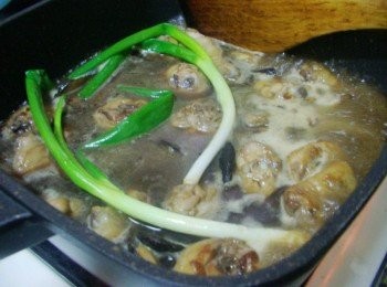 step7: 再加入剩餘<span class="group_2">調味</span>及約500cc左右的水ˊ煮滾ˊ 擺入蔥段ˊ蓋上鍋蓋小火悶燒約30分鐘即可