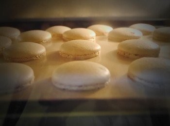 step13: 入烤箱。中型家用烤箱。 溫度160度~先放上層烤15--20分，再拿出來轉向後放到中層烤5分鐘。