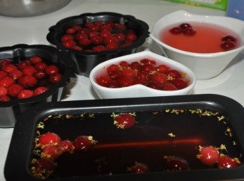 step4: 倒入各類模型器具裡等涼後，洋菜粉會凝結成凍