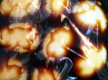 step5: 將蛋放入卥料袋, 浸一晚.