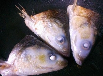 step2: 稍為煎一下~二面稍稍金黃就可以了~(以前沒有用過不沾鍋~不知道不沾鍋這麼好用~煎虱目魚都不會噴耶~)