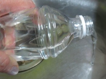 step6: 倒掉水.留一點點水有溼氣就好