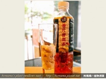 step3: 將切成小塊狀的黑木耳鮮奶凍放入杯中，放置的量可依個人喜好自行調整。