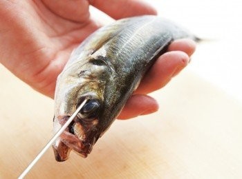 step2: 將竹筴魚折彎，以鐵籤由右眼邊緣刺入。