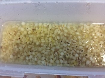 step3: 用1.5公升水(約8-9碗水)加入薏米，煮約1小時。