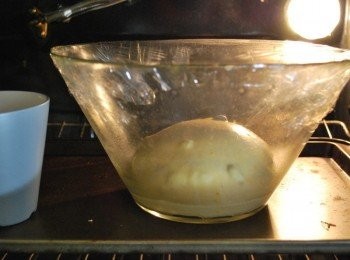 step8: 麵團整圓後置於一抹油大碗中，表面噴水，蓋上濕布或保鮮膜，於溫暖潮濕的環境中發酵至兩倍大（約1小時） ※ 建議放在未開啟的烤箱或微波爐中，旁邊放一杯熱水以增加溫濕度