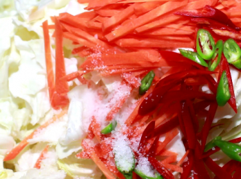 step4: 除了大蒜, 把<span class="group_1">食材</span>表中的所有材料放入大器皿中。包括高麗菜、紅蘿蔔、紅辣椒、朝天辣椒。之後加入依比例算出的鹽量。示範中是4斤高麗菜, 配以4茶匙鹽巴。