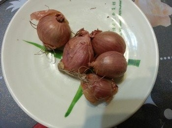 step7: 蒽頭，打成茸。