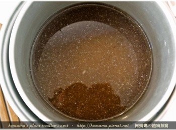 step3: 將黑木耳養生露與鹽巴，直接倒入至內鍋中，與白米拌和在一起。