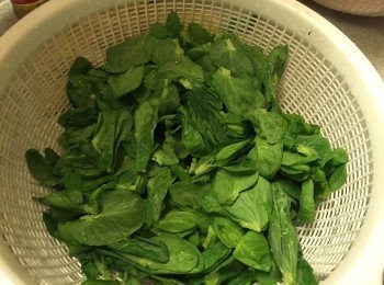 step3: 豆苗洗淨後撕碎