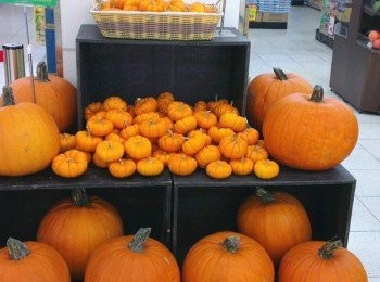 step5: 頂好超市有陳列大大小小南瓜..任君挑選！