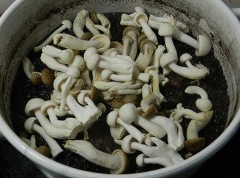 step6: 水分被黑米吸乾後，再撒上菇類，蓋子蓋起來悶三分鐘，下鹽巴攪拌一下就可以囉!!