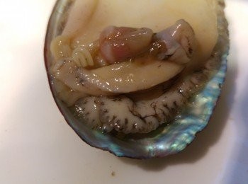 step1: 鮑魚用刷刷洗鮑魚, 鮑魚最前位有嗰孔, 孔剪出拉出內藏。