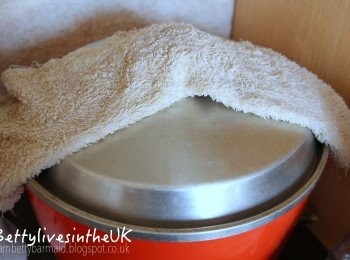 step5: 外鍋加入3杯水（這樣是1.5小時），總共要加2次水，也就是3個小時的烹調時間。