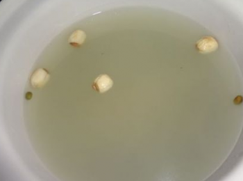 step4: 倒入適量開水，再將洗淨的蓮子放入鍋內；