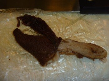 step1: 將象拔蚌去除內臟等不能吃的地方,用脫水膠紙(可用塑膠袋)包裹放入冷凍庫,靜置過夜.隔天移到冷藏庫退冰.這樣才會易去除皮.切成斜薄片備用.