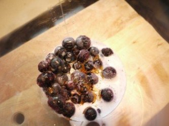 step2: 將藍莓、鮮奶、蜂蜜放入攪拌機打成冰沙狀