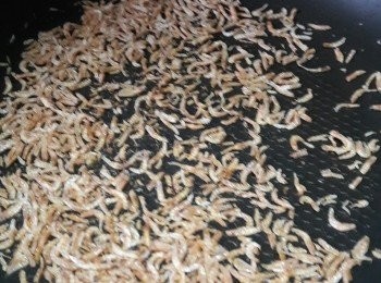 step1: 將小蝦米略為炒香，白鑊只需30秒炒下熄火，用余溫烘下就得，咁樣蝦米會香D。