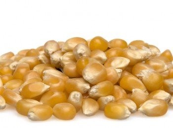 step1: 做爆谷用的粟米粒