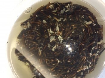 step2: 野米浸一晚