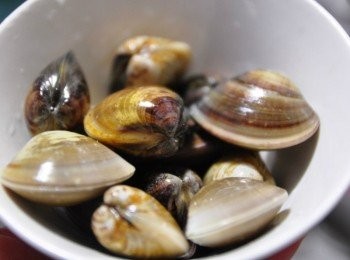 step2: 蛤蜊稍為清水沖洗，取一鍋冷水煮滾，接著放入絲瓜片煮約10分鐘，再放入蛤蜊及薑絲滾煮至蓋殼全開