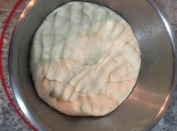 step7: 當麵糰漲大到兩倍大時,可以將手指沾濕後戳入麵糰,如不會回縮則表示麵糰已完成發酵；接著手握拳,輕壓麵糰將空氣排出。