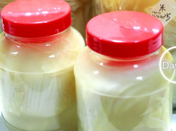 step9: 醃泡一顆約3-4斤的大白菜, 需要一個6罐裝的容器。而1罐裝的就需要4個, 各放入四分之一的大白菜。用小瓶也一樣, 用瓶肩把菜給卡住就不會浮在水面了。如有獨自浮起的小葉片, 都需夾去。