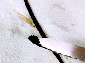 step3: 將雲尼拿用刀割開，用刀尖把裏面的雲尼拿籽刮出，連原條雲尼拿一起加入鍋中攪勻。