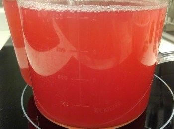 step4: 調味後放入雪櫃雪凍。