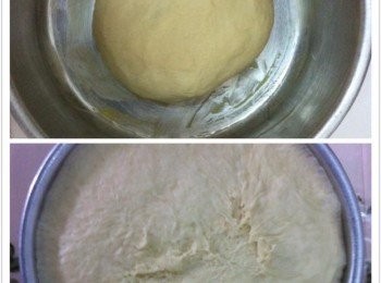 step2: 然後取出麵團，用布蓋住溫室發酵45分鐘（視天氣而定）
發酵完畢，可以看到雙倍的發酵。